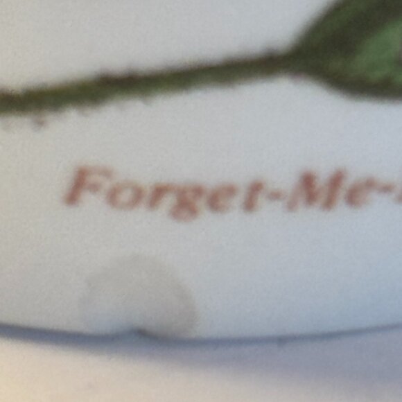 Portmeirion Botanic Garden Saucers (5) + 3 Cups Chipped | Floral Variation - Picture 11 of 12